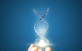 研究：大多數人對CRISPR基因編輯有免疫力