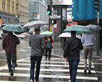 舊金山灣區本週迎來兩場雨