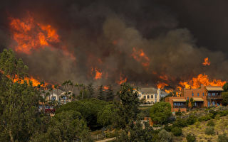 加州大火殃及好莱坞 明星豪宅一夜被焚毁