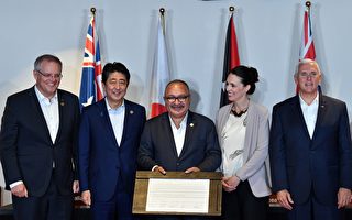 遏制中共影响力 新西兰联合盟国建巴新电网