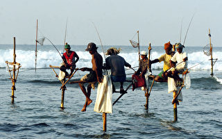 漁夫坐在海中木桿上垂釣 斯里蘭卡獨特傳統