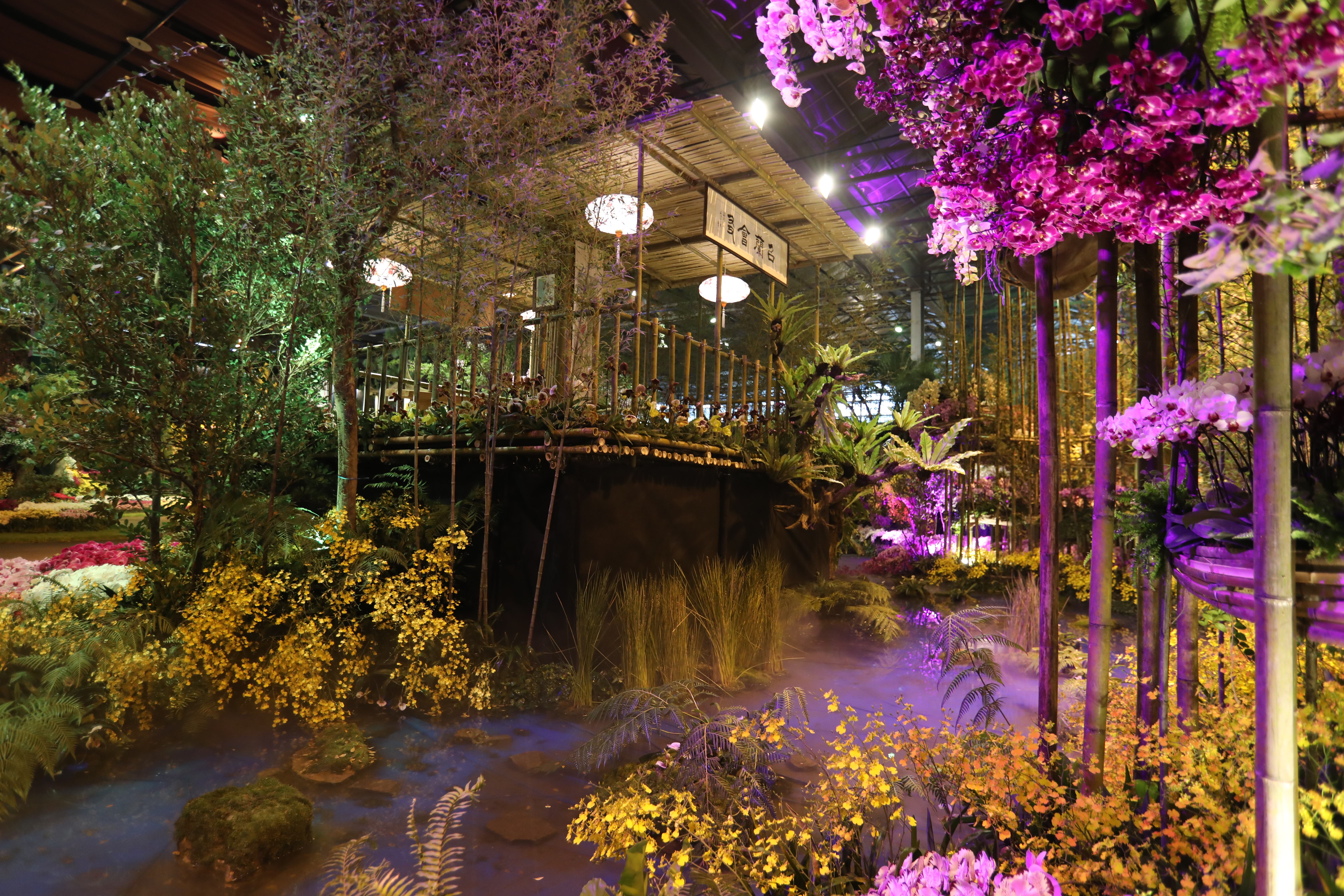 2019台湾国际兰展邀您一同探索兰花仙境| 2019国际兰展| 台湾兰花产销发展协会TOGA | 大纪元