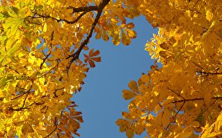 宾州州立公园入围全美最佳秋叶欣赏地