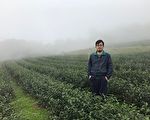 青年戀鄉回流種茶  初試啼聲即獲獎