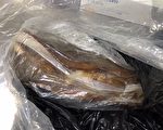 防堵非洲猪瘟疫侵台　基隆关查获多起疫区肉品