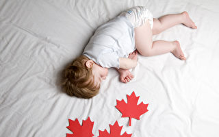 报告：加拿大双非婴数量远超统计数据