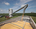中國購58.5萬噸美國大豆 4月份來最大宗