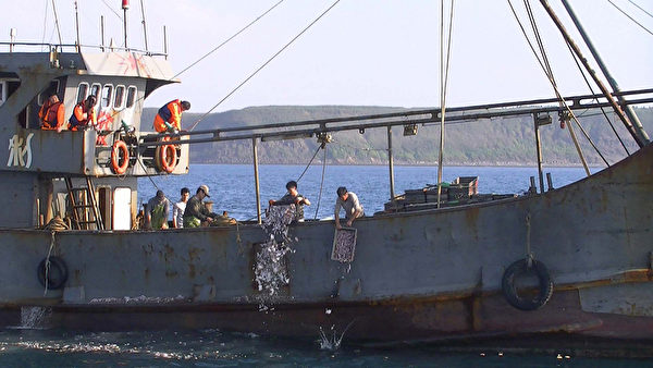 大陸漁船頻越界 查扣並加強非洲豬瘟檢疫