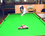 美少女打撞球一出手後 所有人都張大嘴驚歎