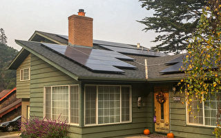 白宮考慮延長川普時期太陽能板進口關稅