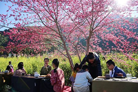 赏樱也是“2018南投花卉嘉年华”的主要活动之一。