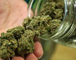 密市万锦市不设大麻店 多伦多市府周四投票