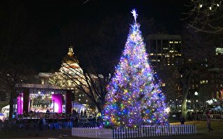 波士頓2023聖誕樹亮燈慶典一覽