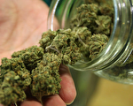 大麻影响工作 新州雇主仍有权禁吸
