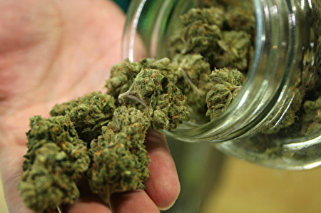 大麻影响工作新州雇主仍有权禁吸 大麻合法化 新泽西 大纪元