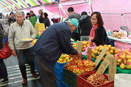 栽種各種類柑桔的吳春旺班長端水果提供民眾試吃。