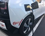 綠白色共乘車道貼紙失效 如何補救？