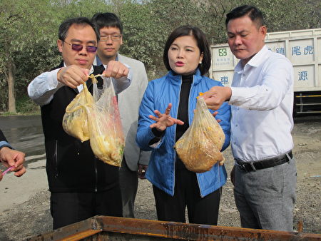 张丽善呼吁民众，熟厨余内绝对不能有塑胶袋、竹筷或是橡皮筋等杂物。（大纪元／廖素贞）