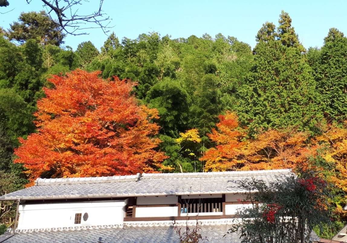 日本京都保存著對神傳文化的信仰,在山中、在城中典藏著。(任采真/大紀元)