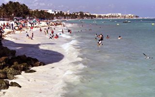 墨西哥加勒比海度假區爆槍擊案 7人死亡