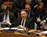 聯合國開會討論委內瑞拉政局 中俄阻止未遂