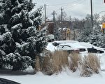下週一  預計多倫多降雪15厘米