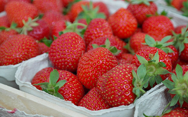 草莓中的果膠屬水溶性纖維，能促進腸胃蠕動，幫助有害毒素隨糞便排出體外。