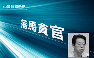 陝西省原政法委副書記 吳新成被雙開