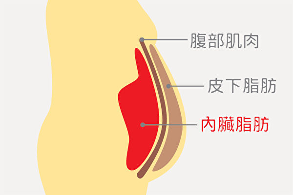 肠的周围累积许多脂肪，这种脂肪称为“内脏脂肪”。可以用手指捏出一块脂肪的称“皮下脂肪”
