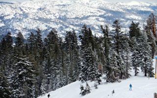 北加州塞拉内华达山滑雪场2月积雪破纪录