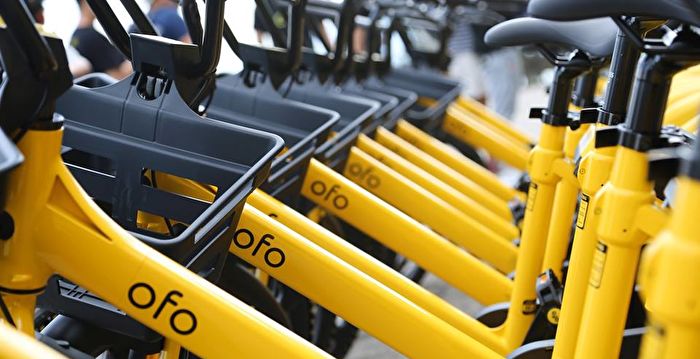 ofo 2019