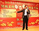必访的树林灯会周末登场 璀璨花灯庆元宵
