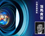 吉林省廳官林玉成被判10年 曾迫害法輪功