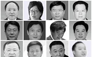 中國新年前 8省14名中共落馬官員被處理