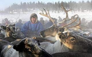 俄科學家發現 動物在冬天「釀酒」以抗嚴寒