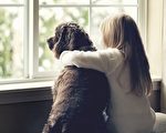 少女忍淚送走愛犬 7年後收養同名老狗竟團圓