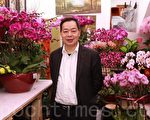 天气和暖年花早开 香港市民热购