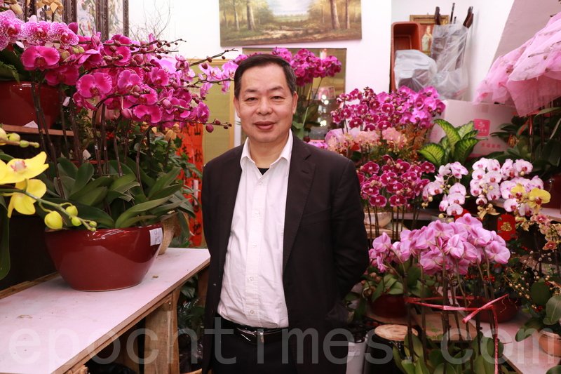 天气和暖年花早开香港市民热购 年花大王 蝴蝶兰 赖荣春 大纪元 天气和暖年花早开香港市民热购 年花大王 蝴蝶兰 赖荣春 大纪元