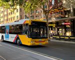 昆州公交降價之際 南澳明年方考慮調整票價