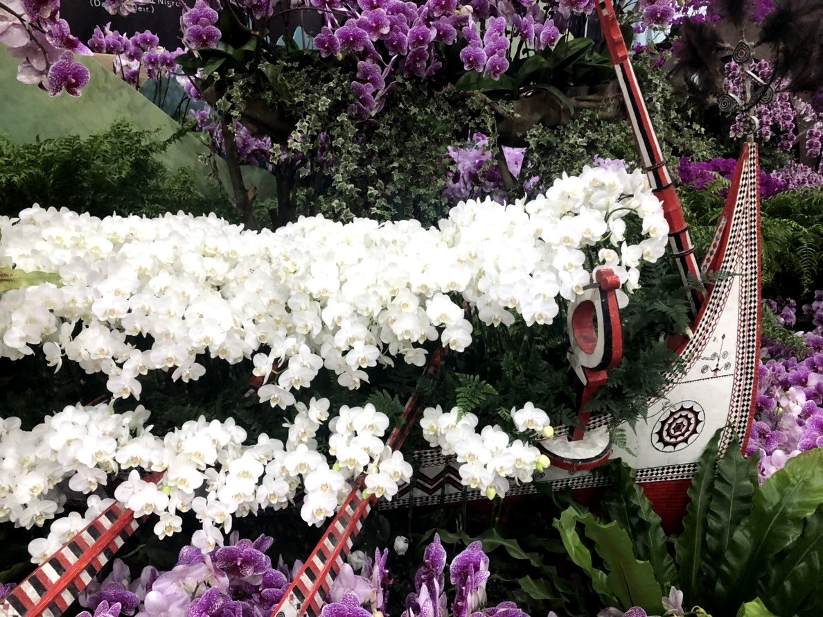 花博蝴蝶兰特展外埔园区5,200兰花迎新| 花博外埔园区| 大纪元