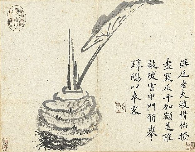 清 朱耷《芋》。(公有領域)