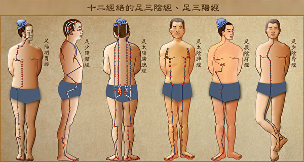 十二经络中的足三阴经（胃、胆、膀胱）和足三阳经（脾、肝、肾）。