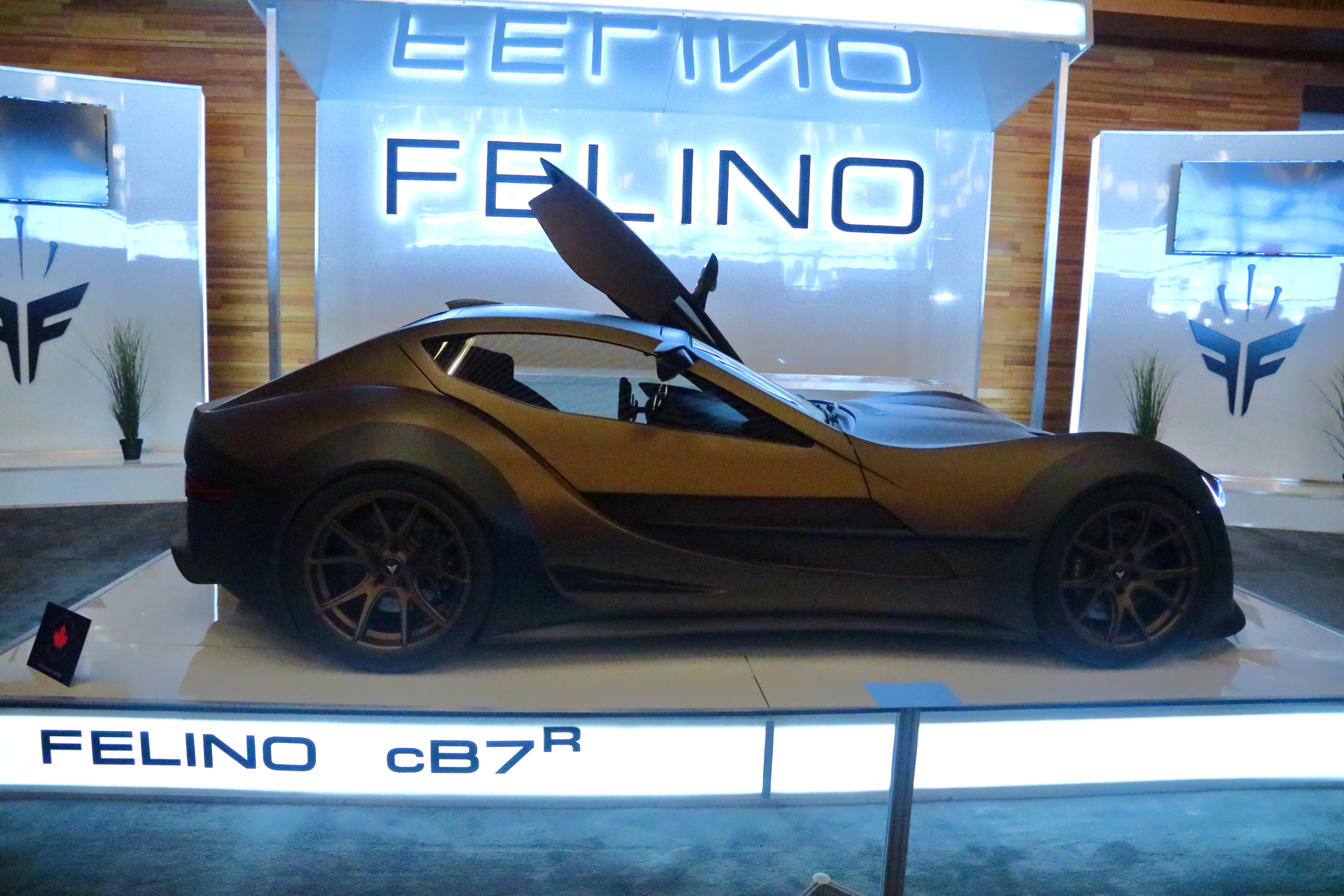 Felino cB7R。〈李奥/大纪元〉
