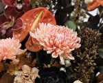 墨爾本國際花卉園藝展：當藝術邂逅大自然
