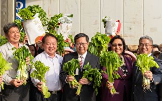 桃園透過新鮮蔬果讓馬紹爾人民感受台灣友誼