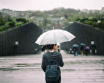 多伦多本周末春雨绵绵
