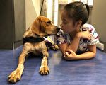 不只防疫还得保养 护国犬健检萌照曝光
