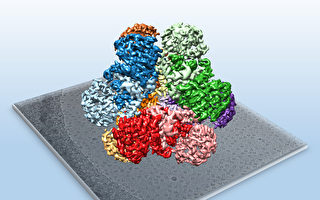 中研院冷冻电显分析酵素 有助生质燃料增产