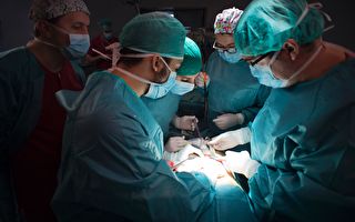 比利時聯邦委員會通過提案 打擊非法器官移植
