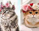 貓狗頭戴教授製作的花冠 華貴模樣令人驚艷